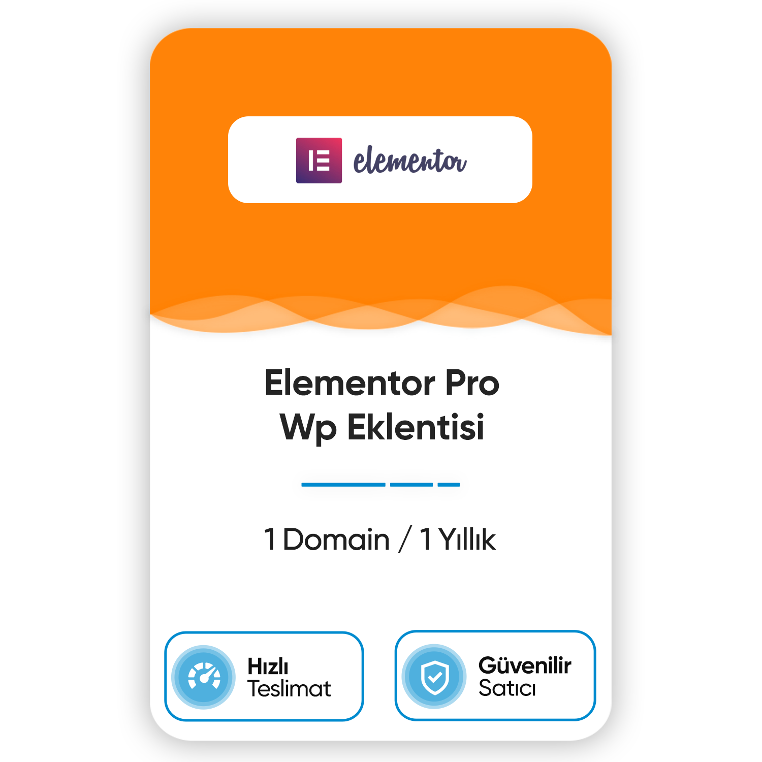 elementor-pro-wp-eklentisi-1-domain-1-yillik elementor pro wp eklentisi 1 domain 1 yillik
