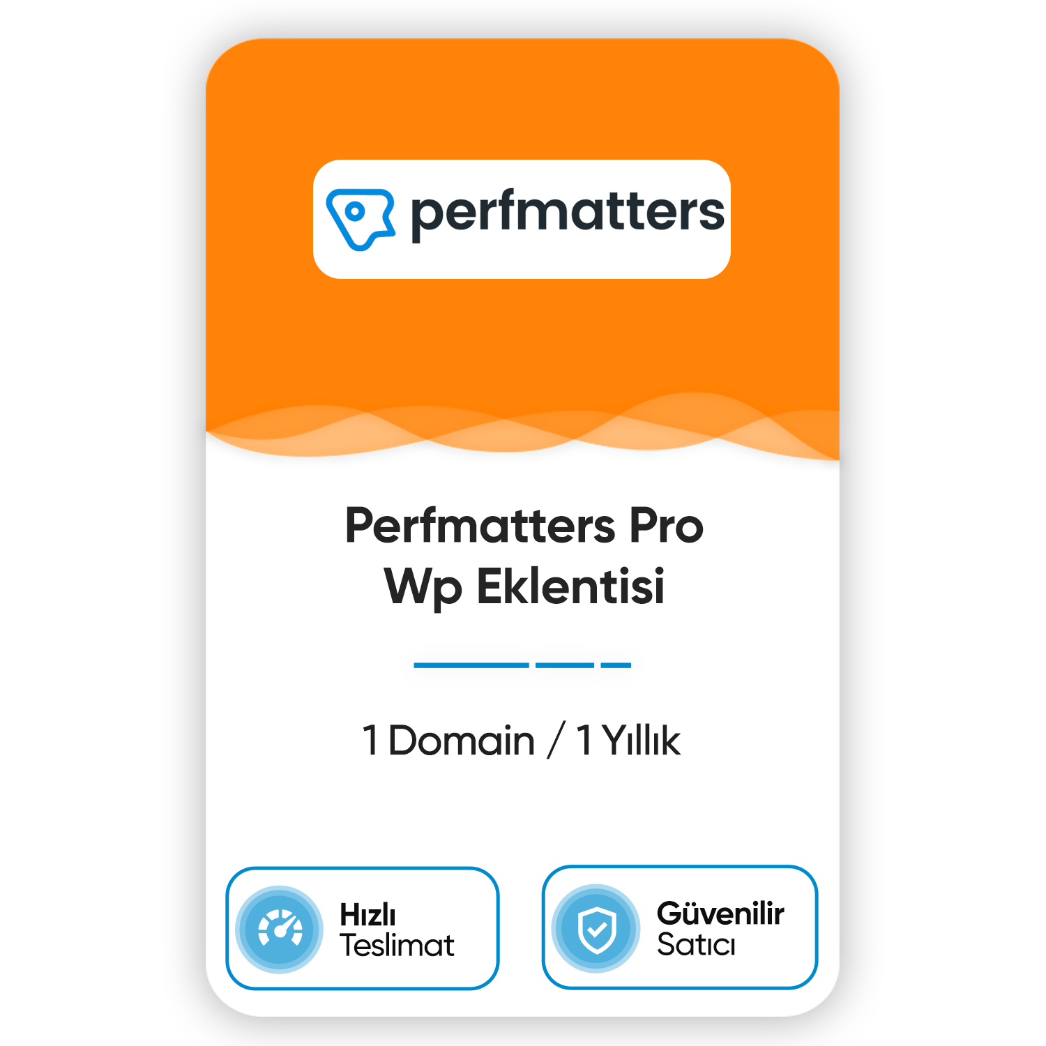 perfmatters-pro-wp-eklentisi-1-domain-1-yillik perfmatters pro wp eklentisi 1 domain 1 yillik